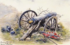 Fallen Rebel